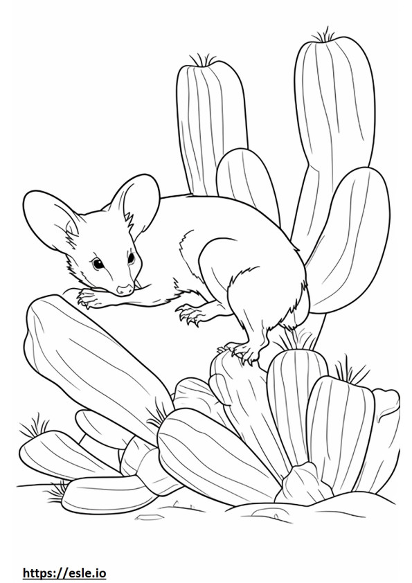 Zabawa myszką kaktusową kolorowanka