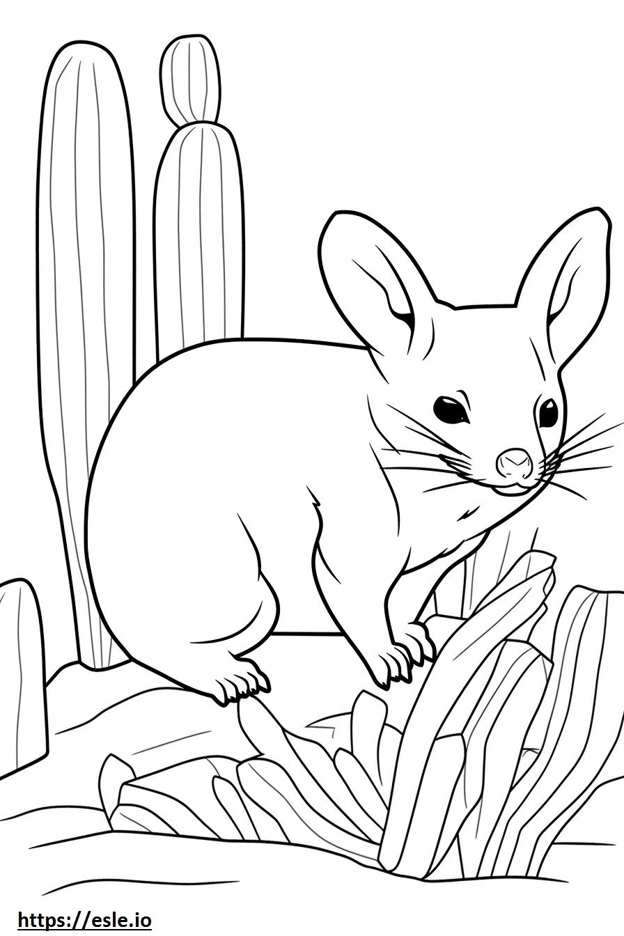 Cactus Mouse Friendly coloring page