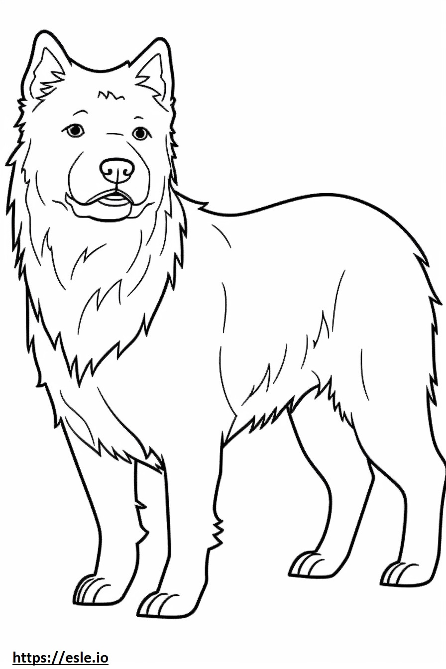 Corpo inteiro do Cairn Terrier para colorir