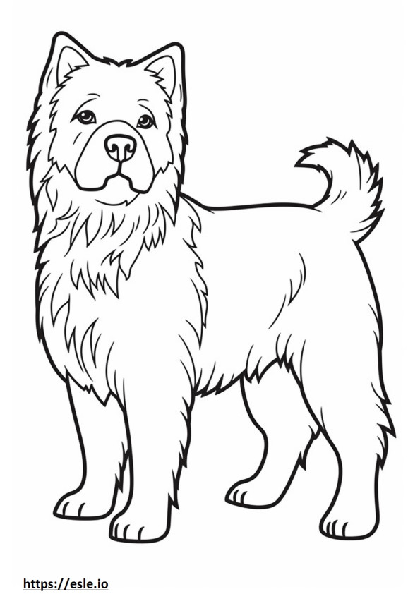 Cairn Terrier de cuerpo entero para colorear e imprimir