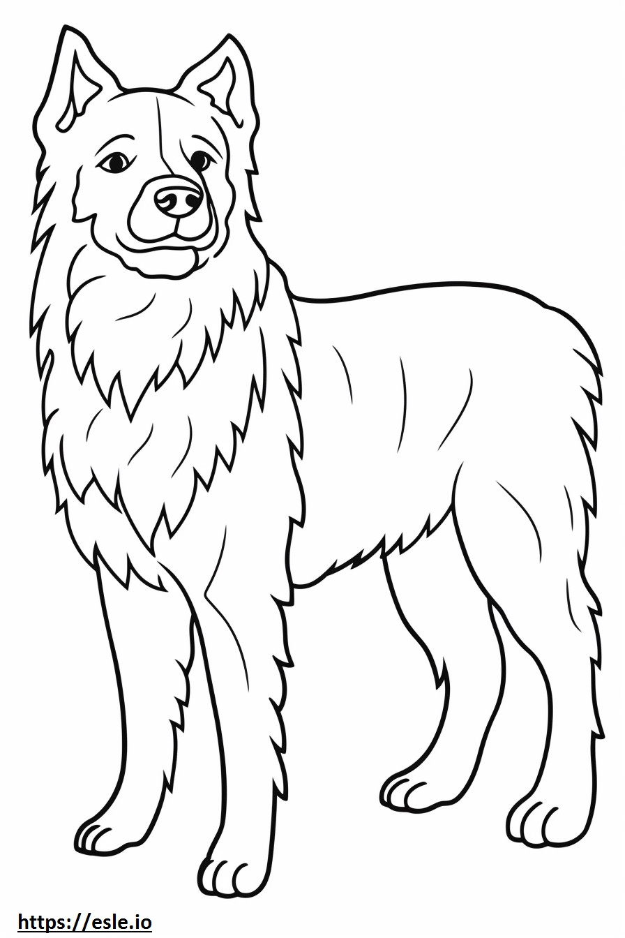 Cairn Terrier full body coloring page