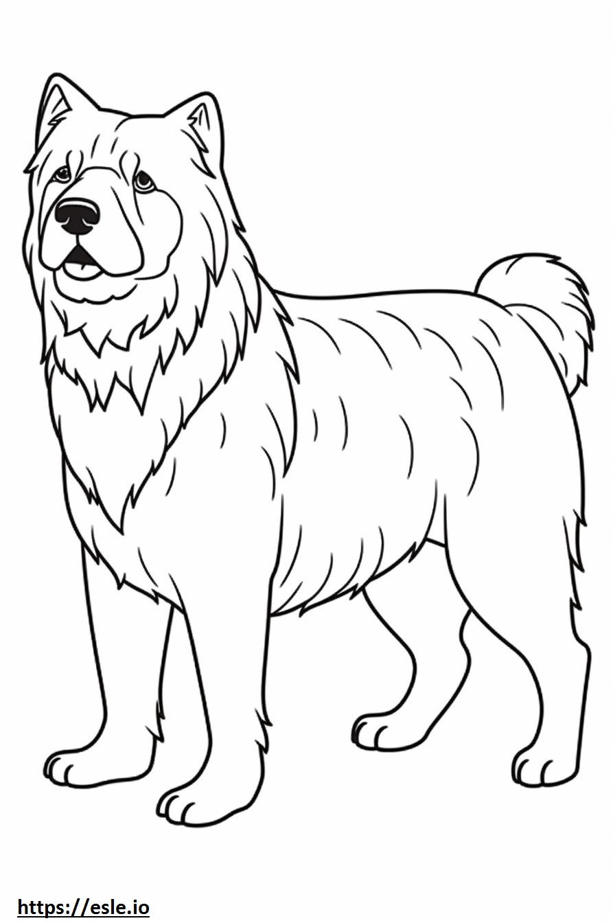 Corpo inteiro do Cairn Terrier para colorir