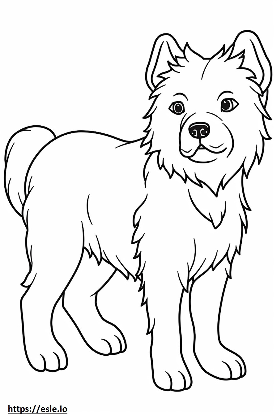 Cucciolo di Cairn Terrier da colorare