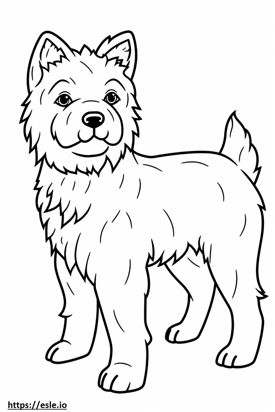Cucciolo di Cairn Terrier da colorare