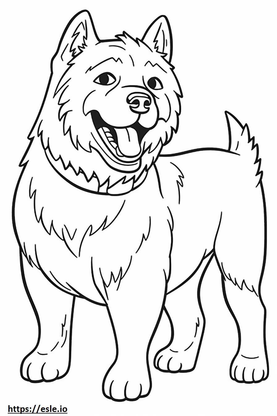 Cairn terrier feliz para colorear e imprimir