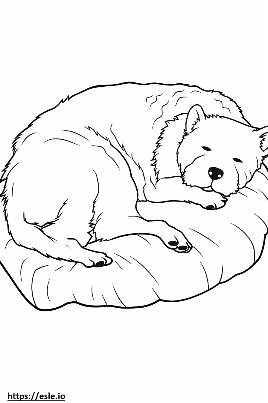 Coloriage Cairn Terrier dormant à imprimer