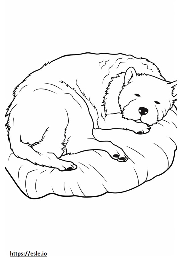 Coloriage Cairn Terrier dormant à imprimer