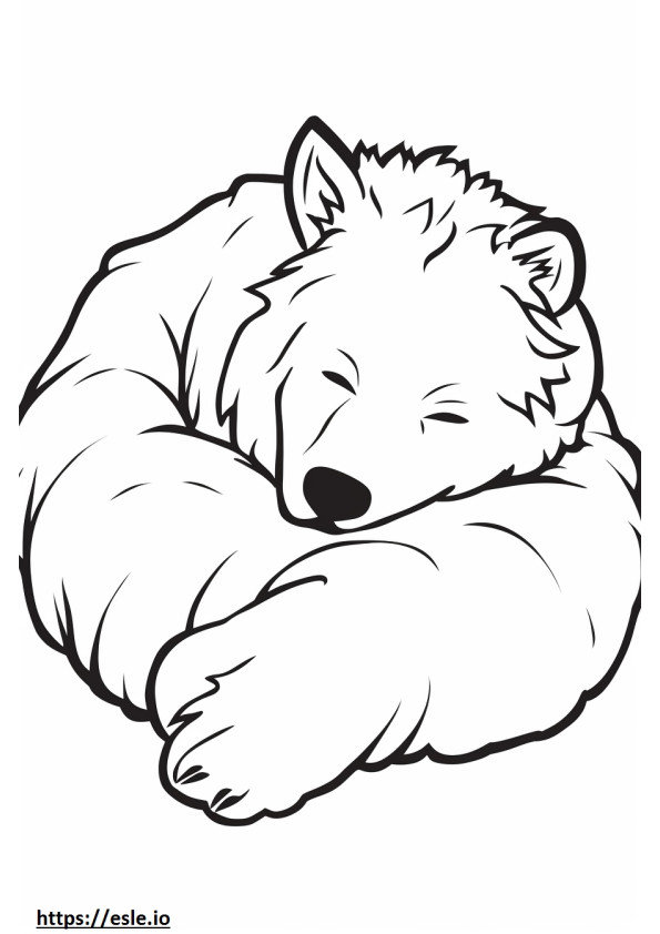 Cairn Terrier Sleeping coloring page