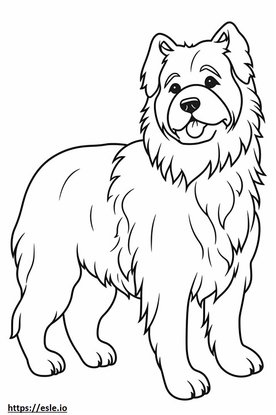 Cairn Terrier Friendly coloring page