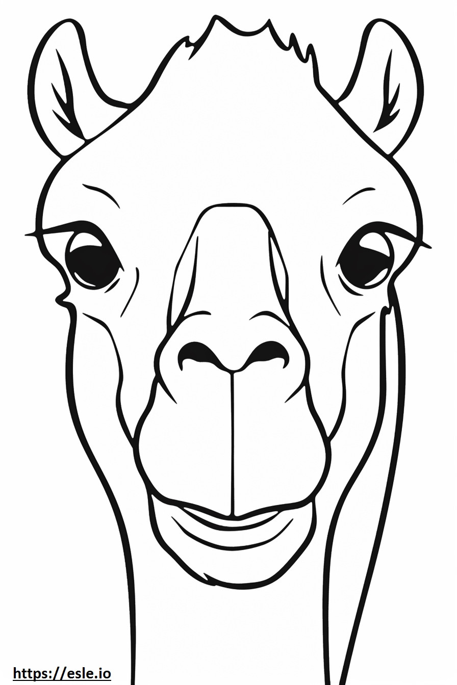 ラクダの顔 ぬりえ - 塗り絵
