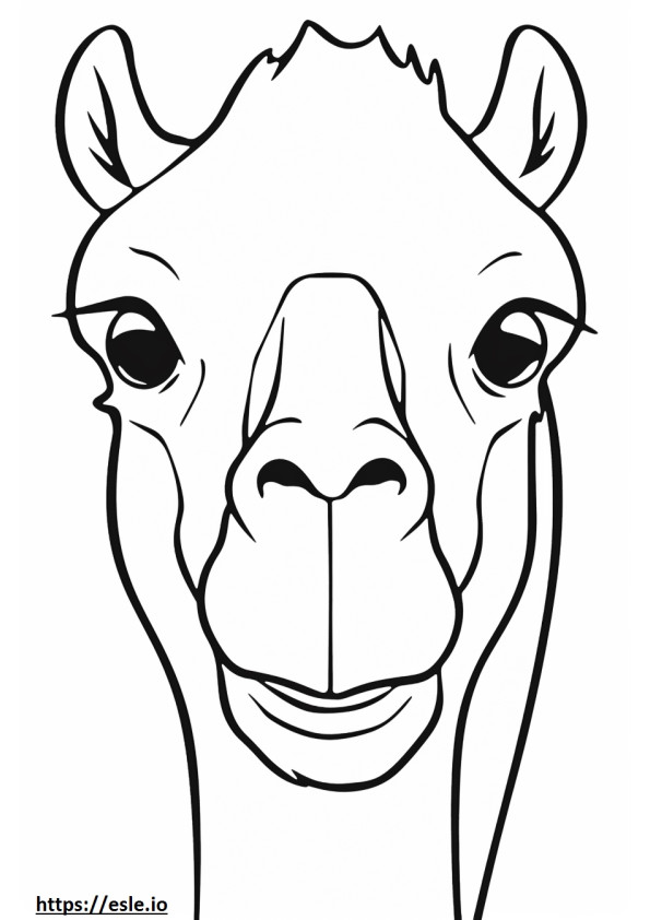 Camel face coloring page