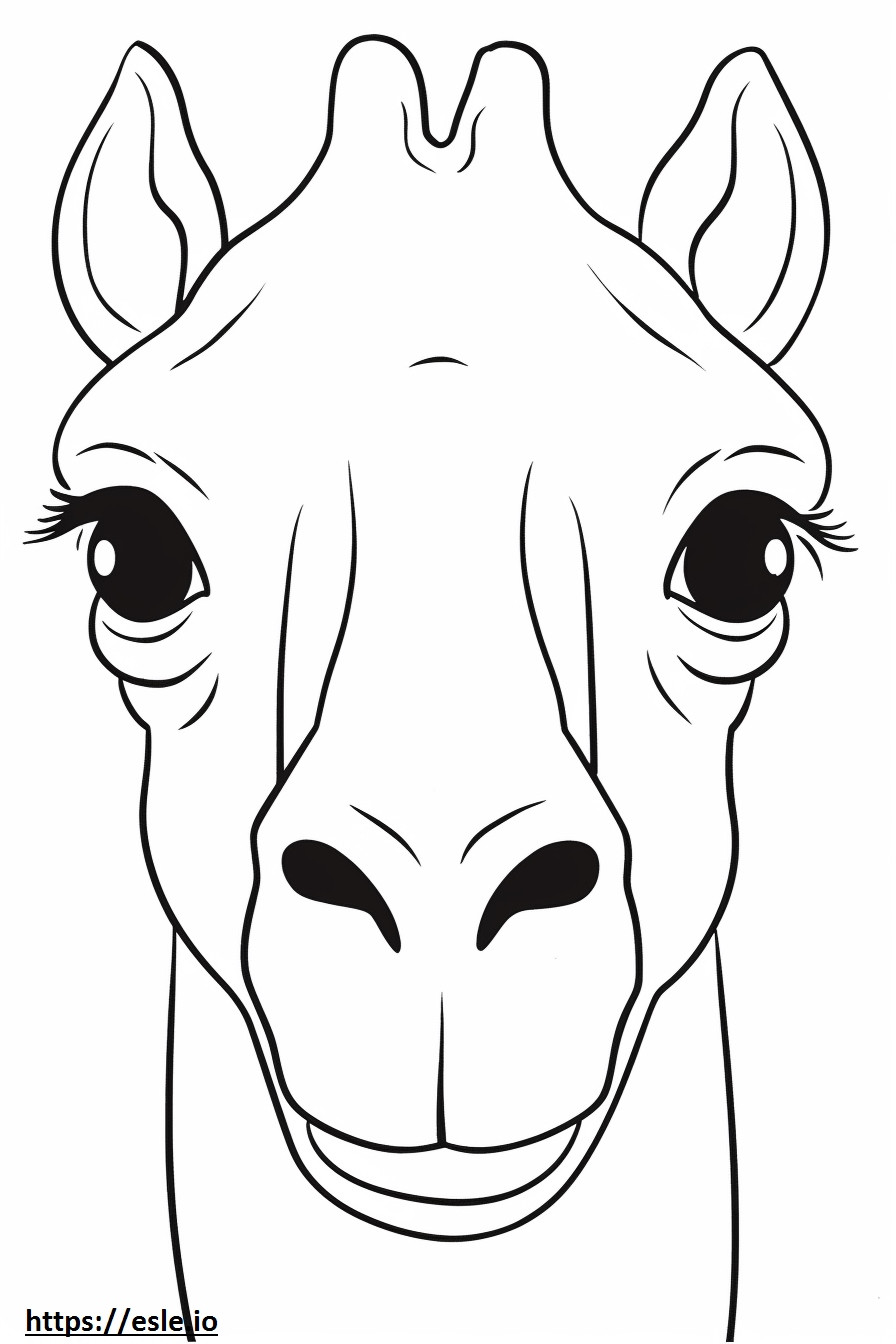 Kamelin kasvot värityskuva