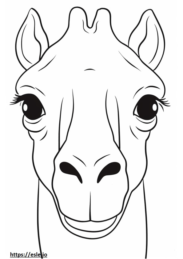 Camel face coloring page