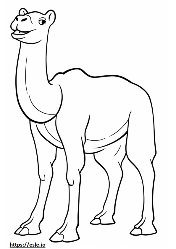 Corpo inteiro de camelo para colorir