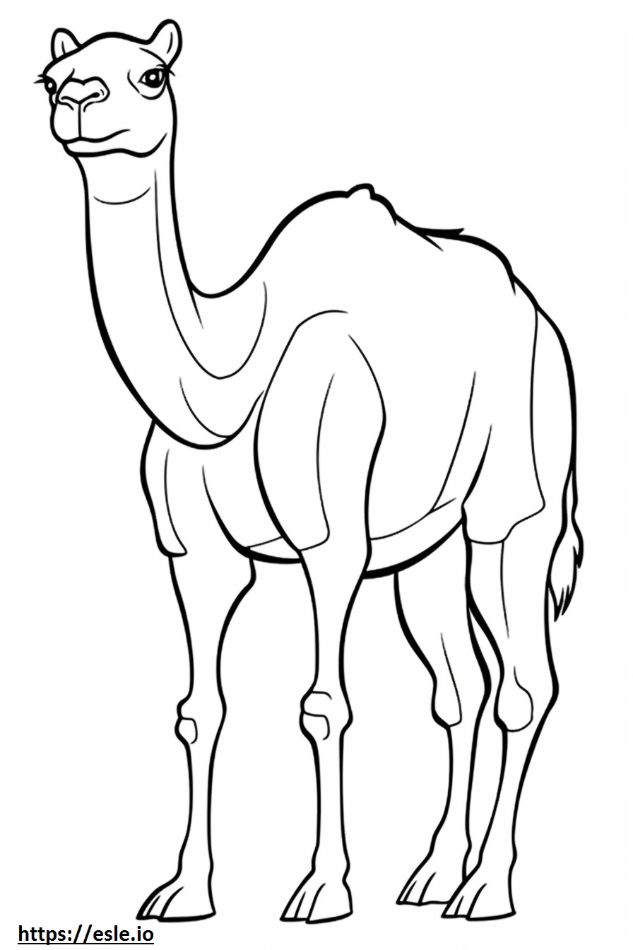 Camello de cuerpo entero para colorear e imprimir
