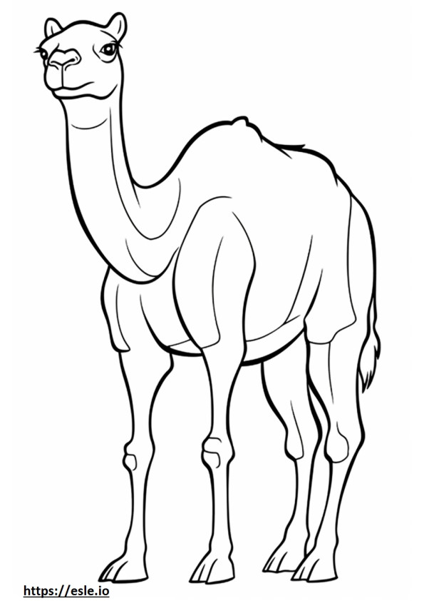 Kameli koko vartalo värityskuva