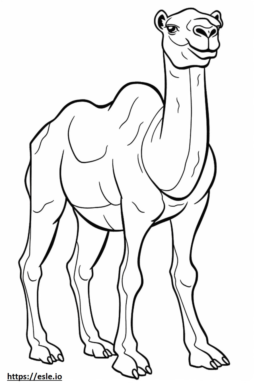 Camel full body coloring page