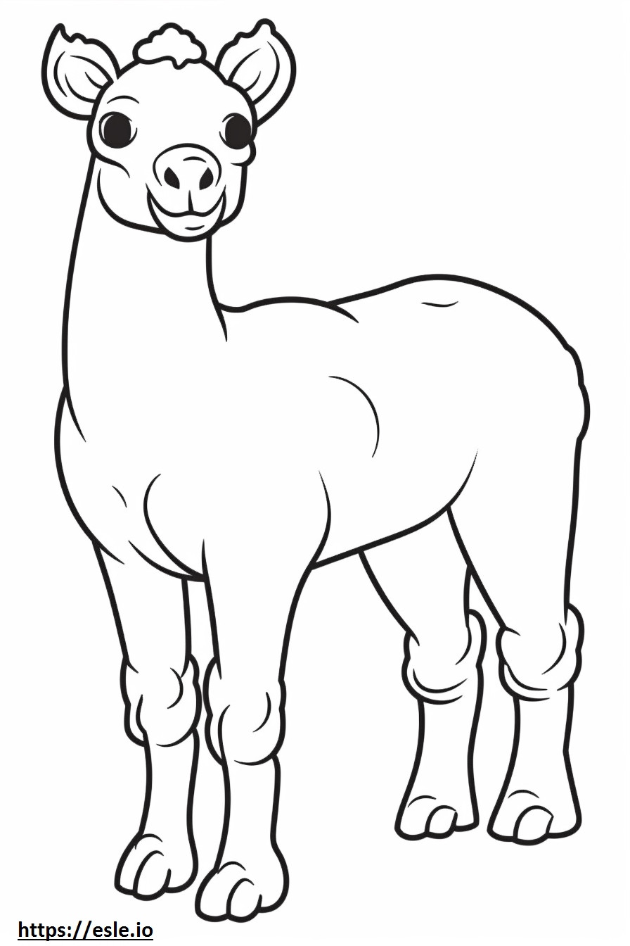 bebe camello para colorear e imprimir