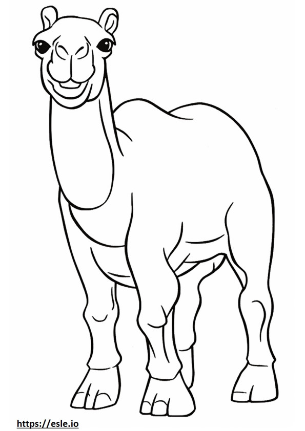 Camel baby coloring page