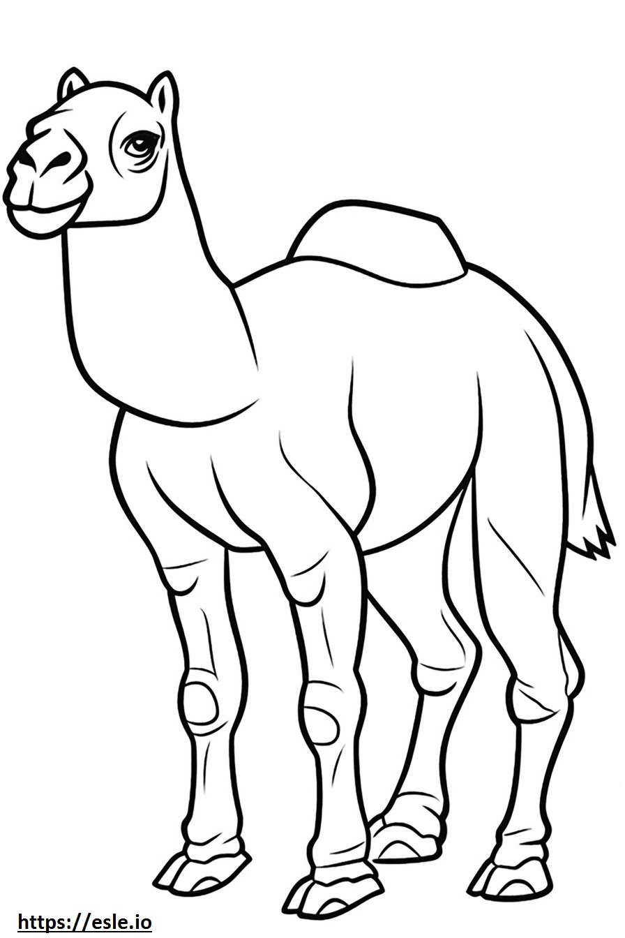 Camel cartoon coloring page