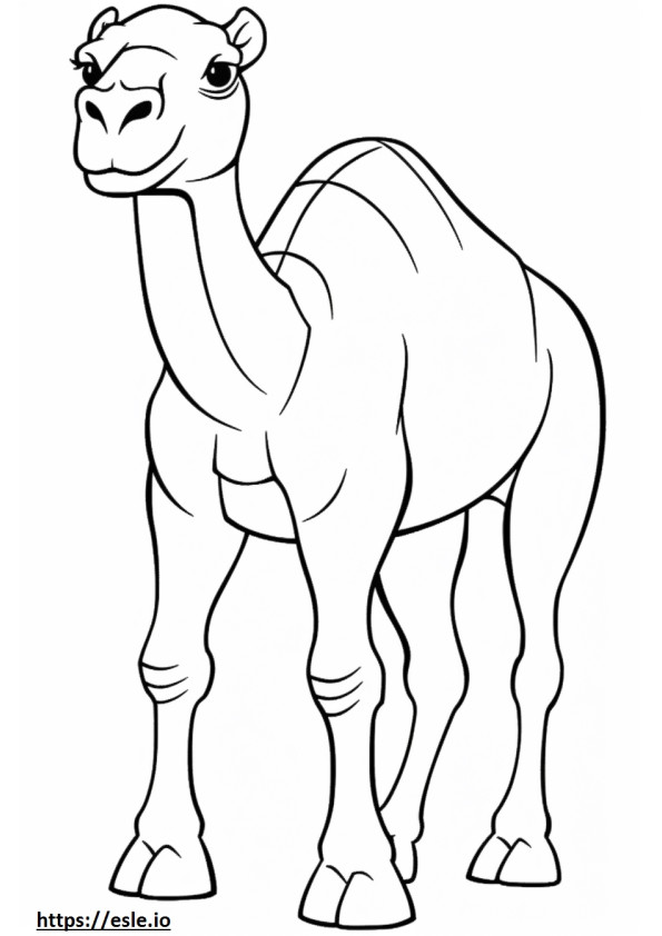 dibujos animados de camello para colorear e imprimir