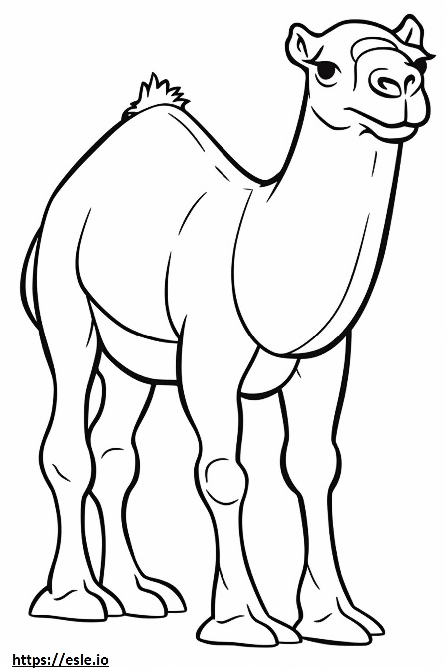 Cartone animato di cammello da colorare