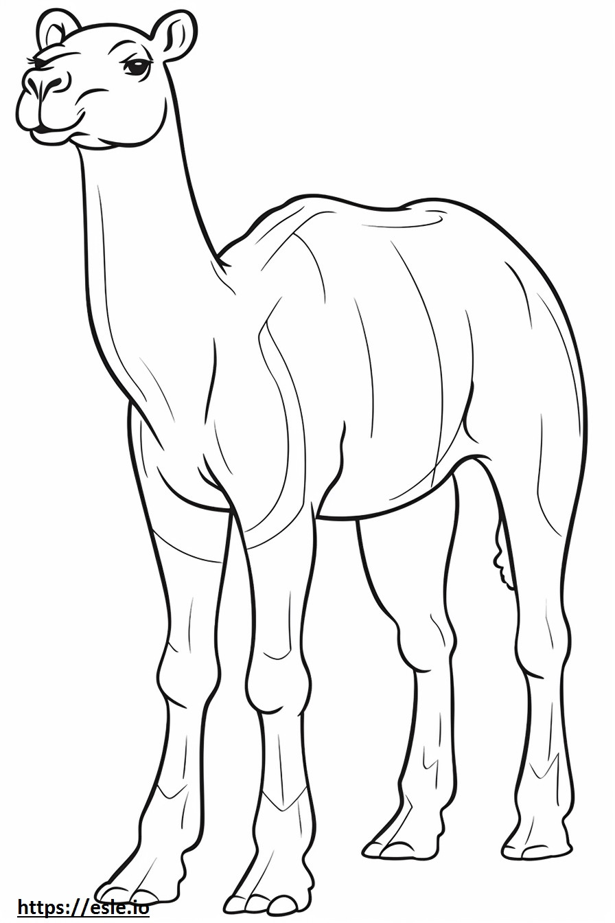 Camel cute coloring page