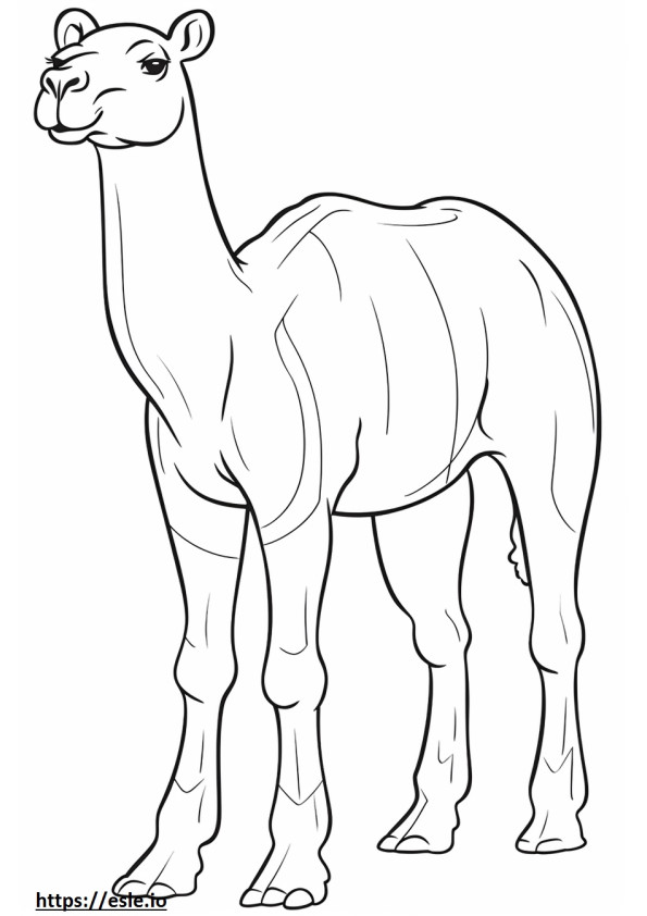 Camel cute coloring page