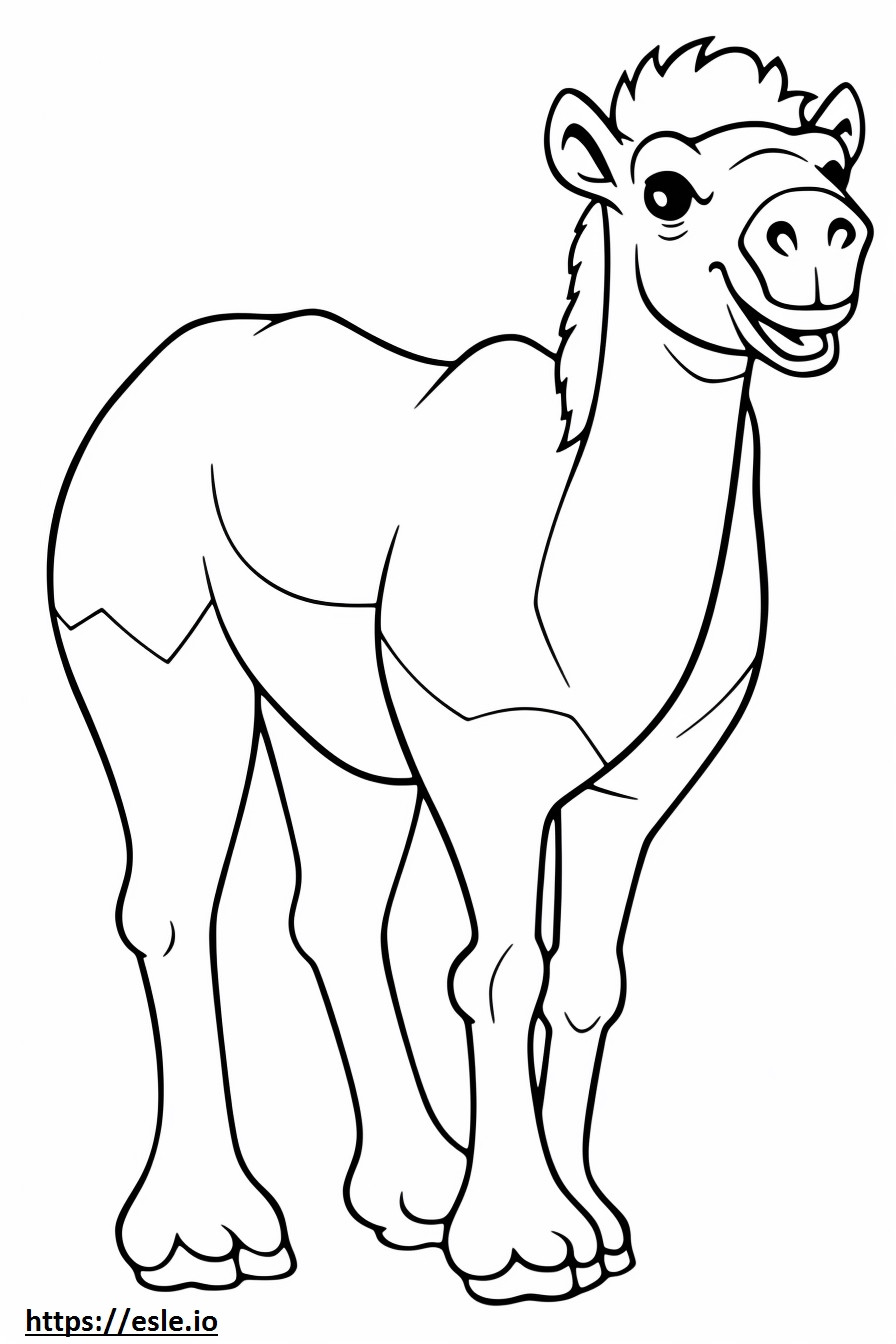 Kameli söpö värityskuva