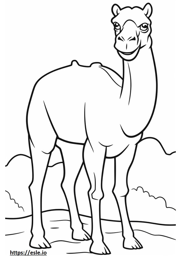 camello lindo para colorear e imprimir