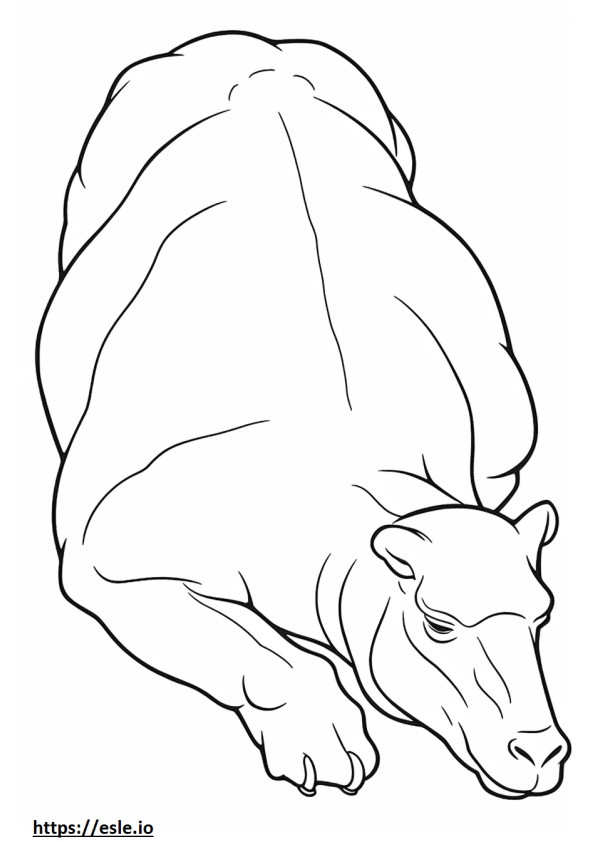 Camel Sleeping coloring page