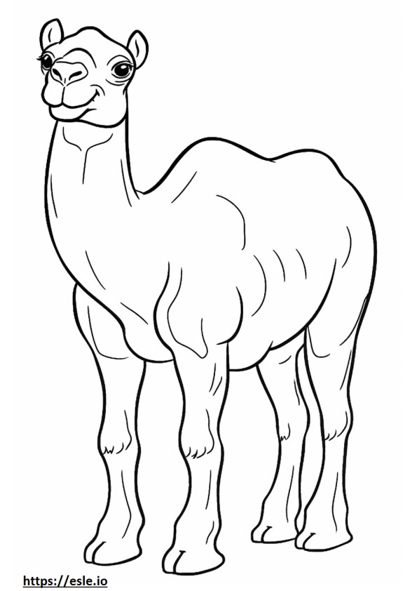 camello jugando para colorear e imprimir