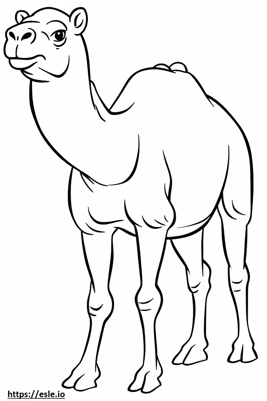 Kameli leikkii värityskuva