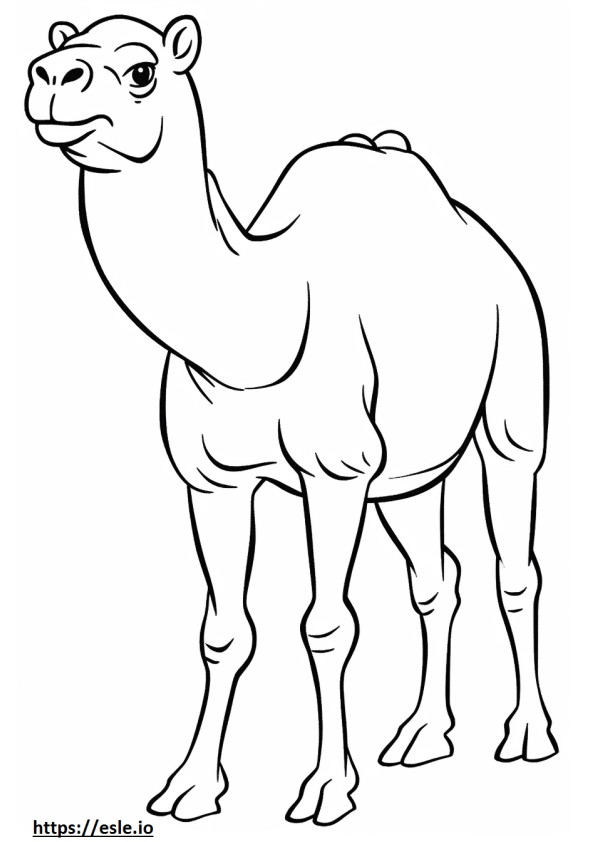camello jugando para colorear e imprimir