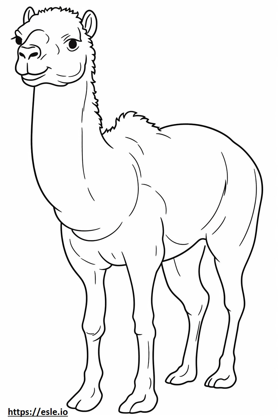 camello kawaii para colorear e imprimir