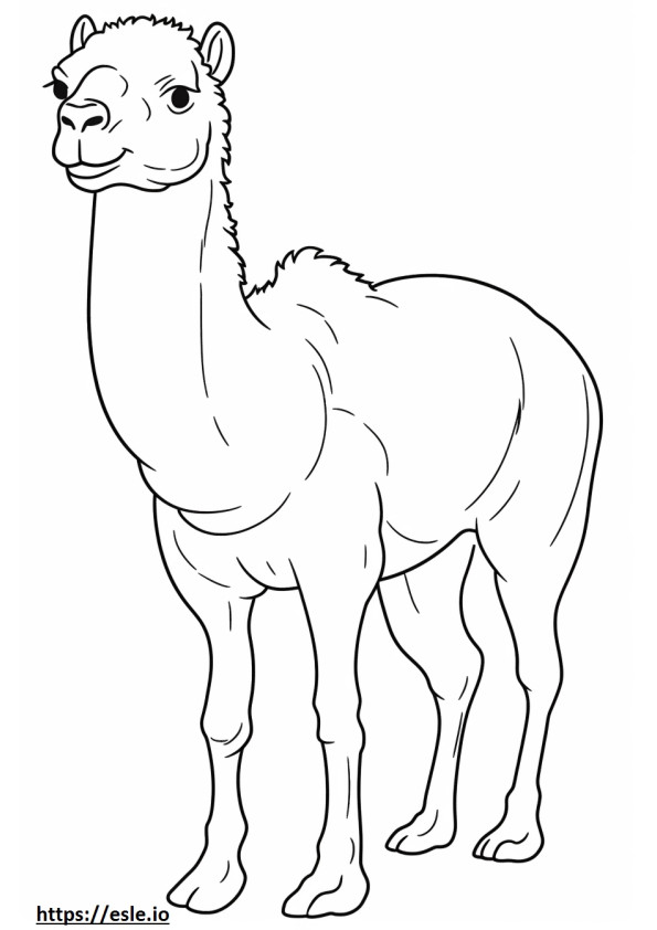 Camel Kawaii coloring page
