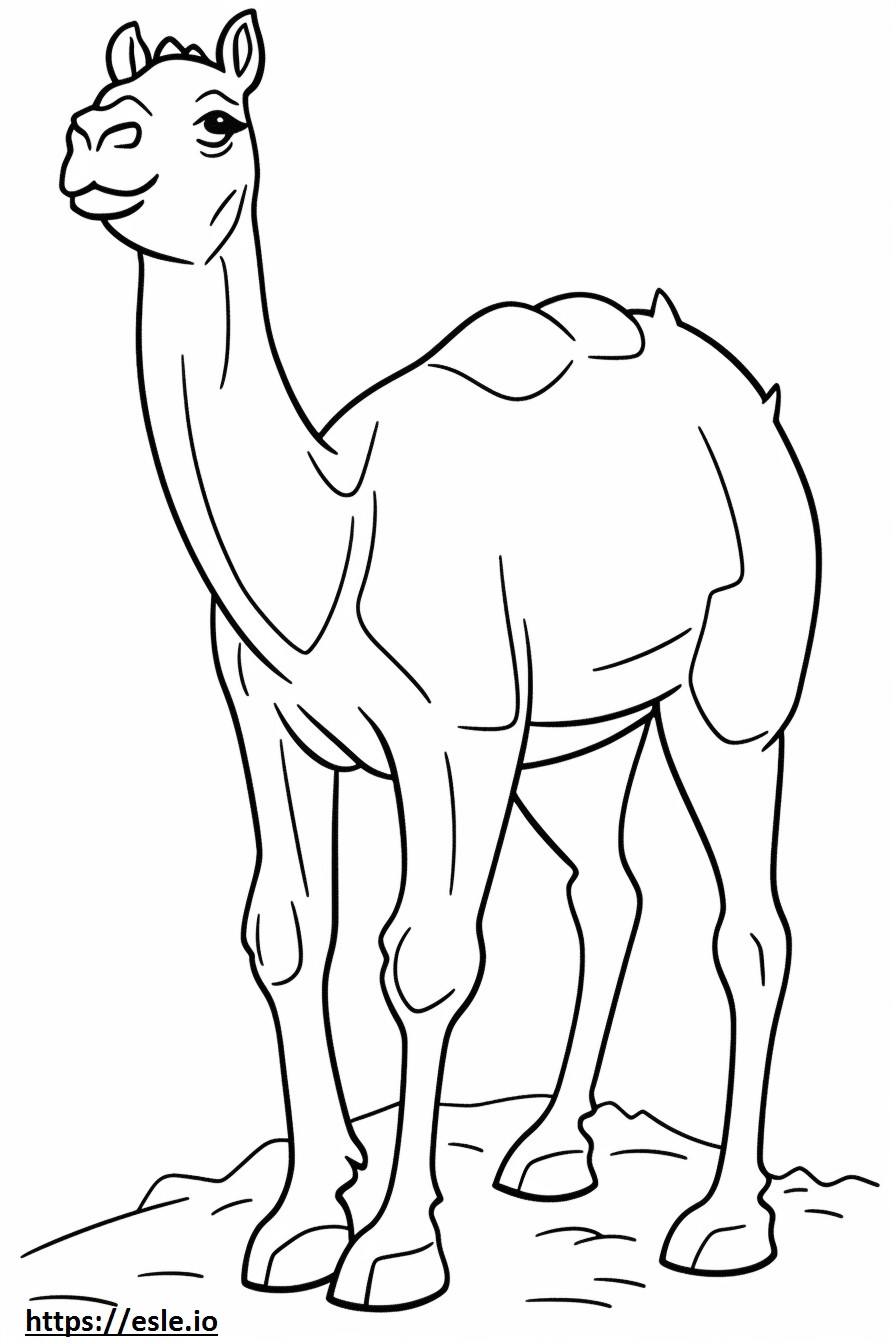 Camelo amigável para colorir