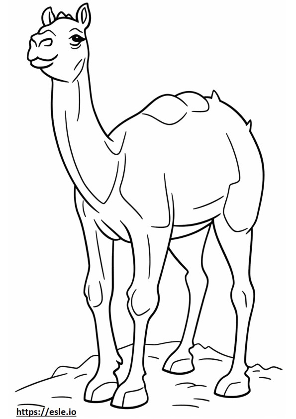 Coloriage Adapté aux chameaux à imprimer