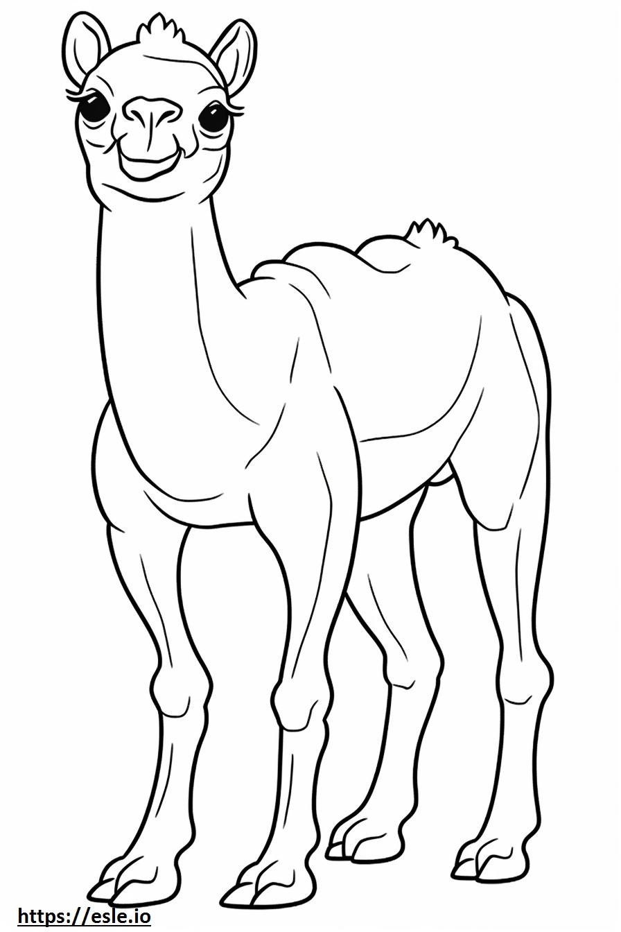 Camel Friendly coloring page