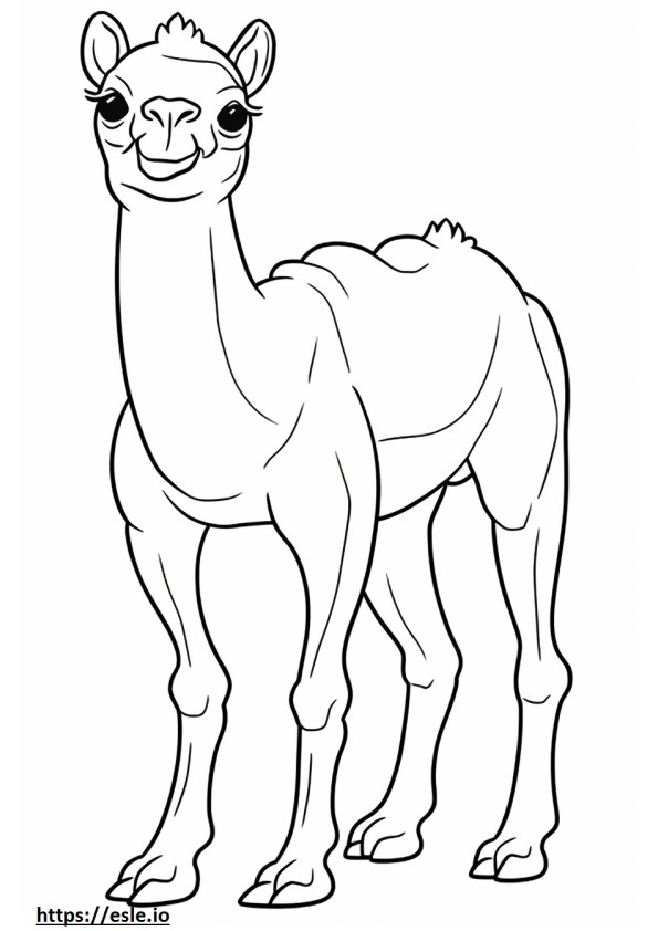 Apto para camellos para colorear e imprimir