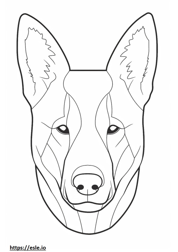 Canaan Dog face coloring page