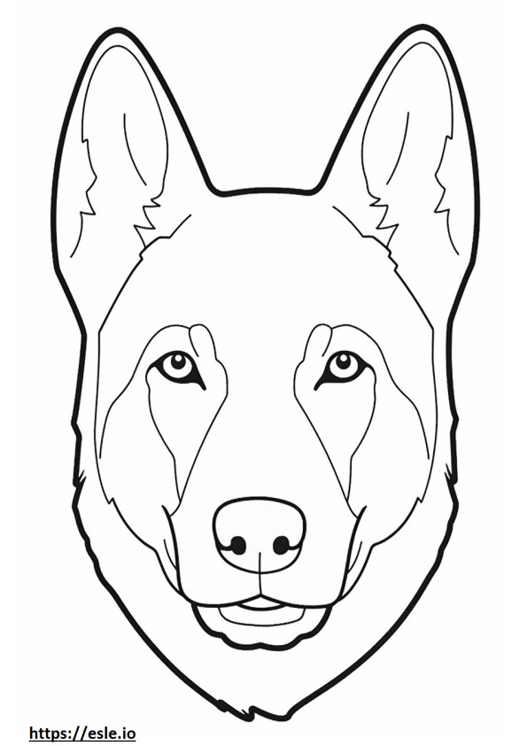 Canaan Dog face coloring page