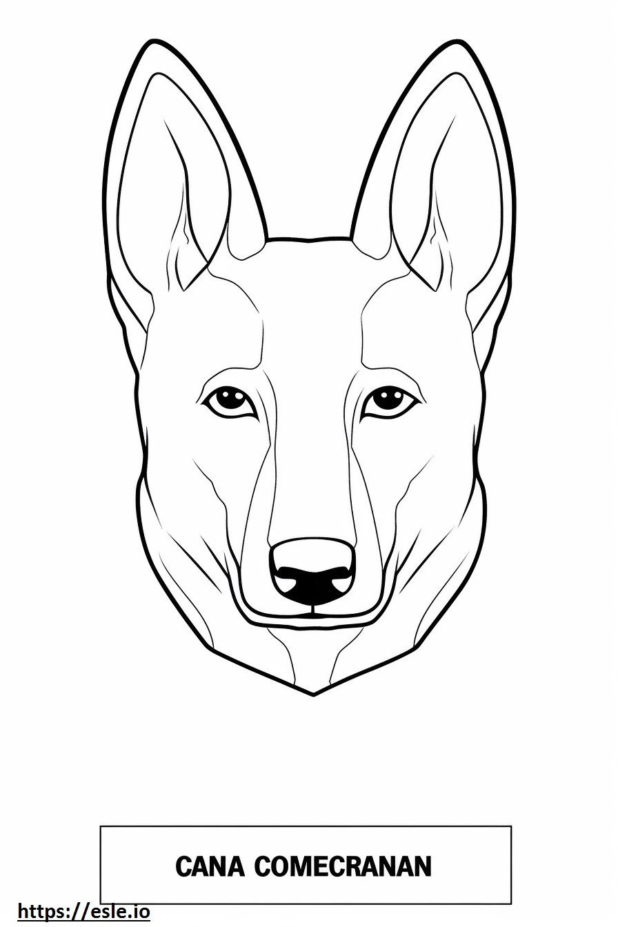 Cara de cachorro Canaã para colorir