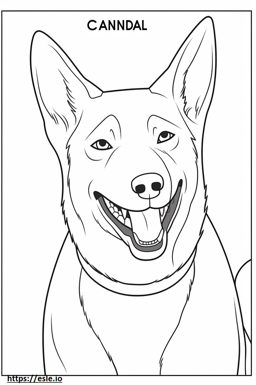 Emoji cu zâmbet de câine Canaan de colorat