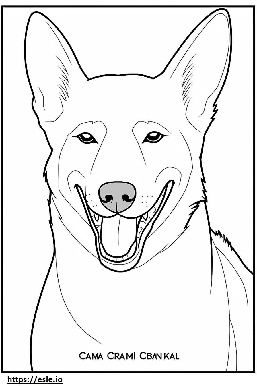 Coloriage Emoji sourire de chien de Canaan à imprimer
