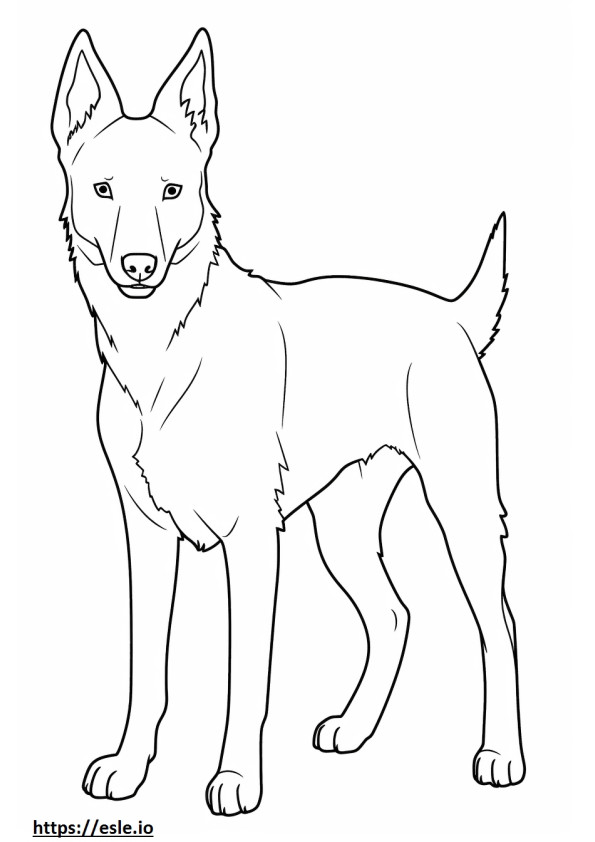 Coloriage Caricature de chien de Canaan à imprimer