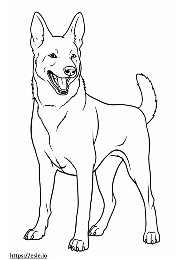 Canaan Dog happy coloring page
