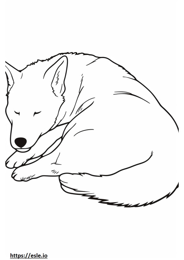 Perro de Canaán durmiendo para colorear e imprimir