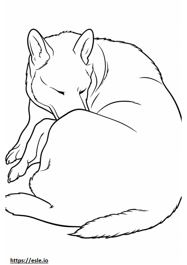眠るカナン犬 ぬりえ - 塗り絵