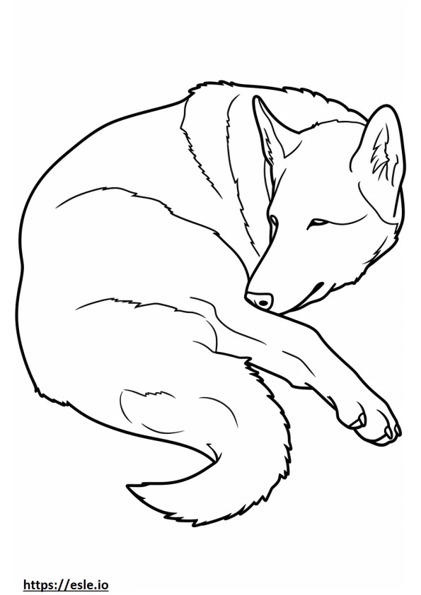 Perro de Canaán durmiendo para colorear e imprimir